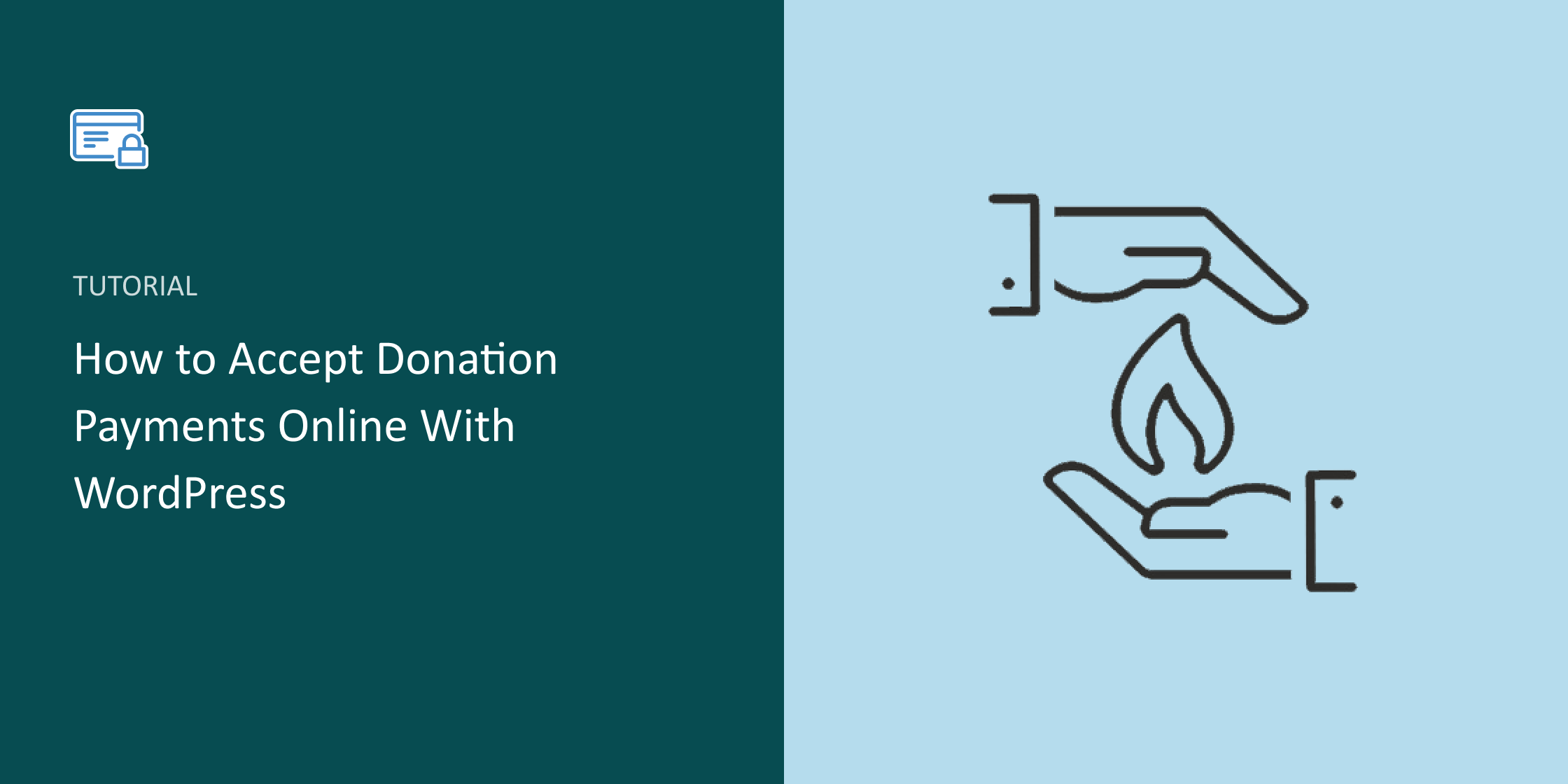 How to Accept Donation Payments Online With WordPress