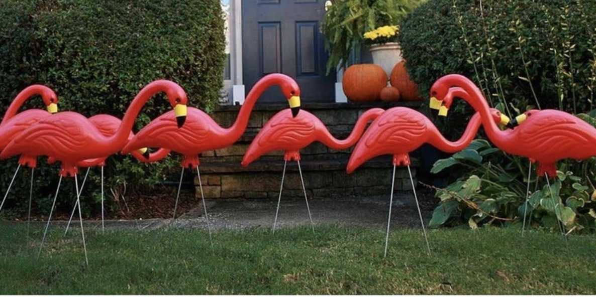 Plastic Flamingos (and an Easy Way to Accept Payments from Friends)