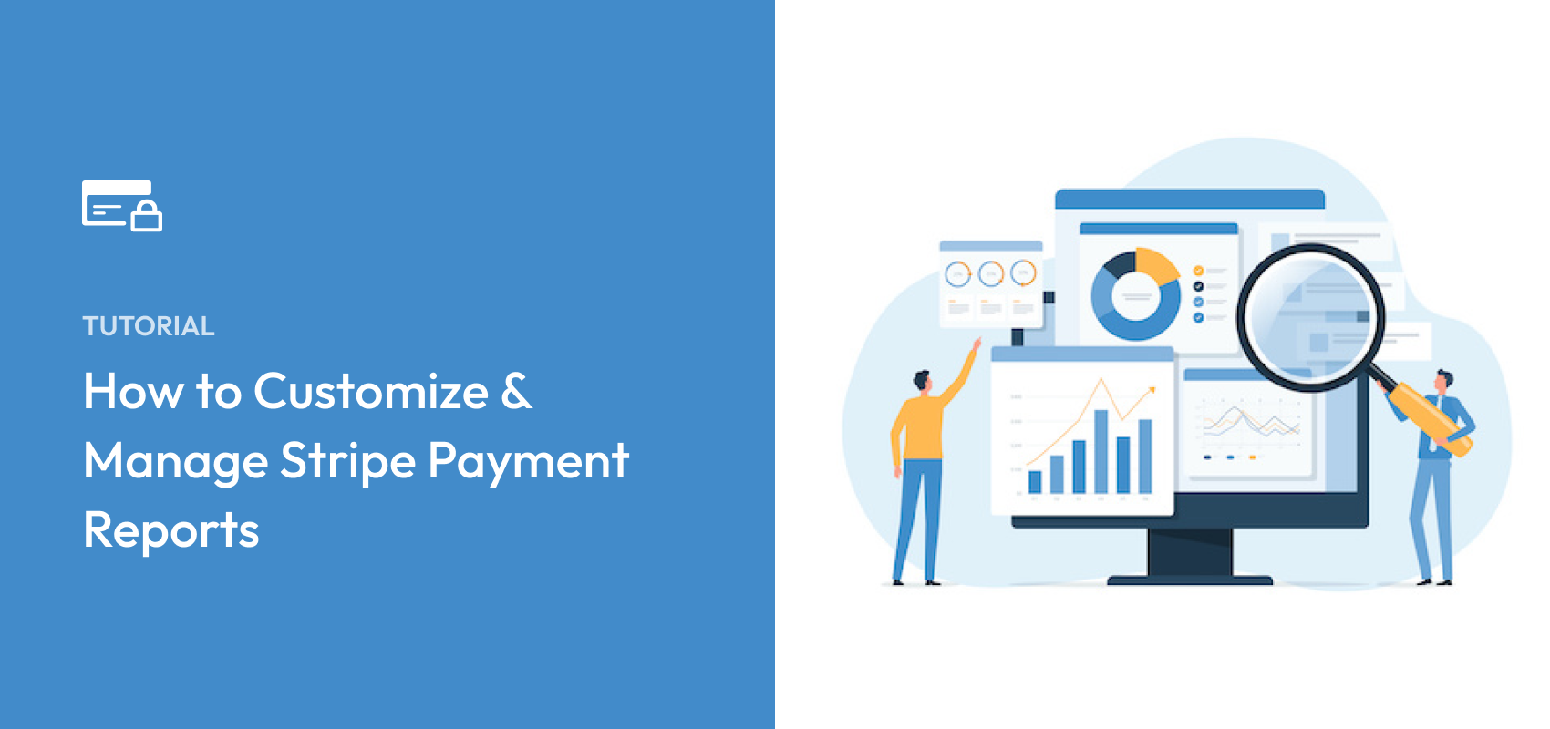 How to Customize & Manage Stripe Payment Reports