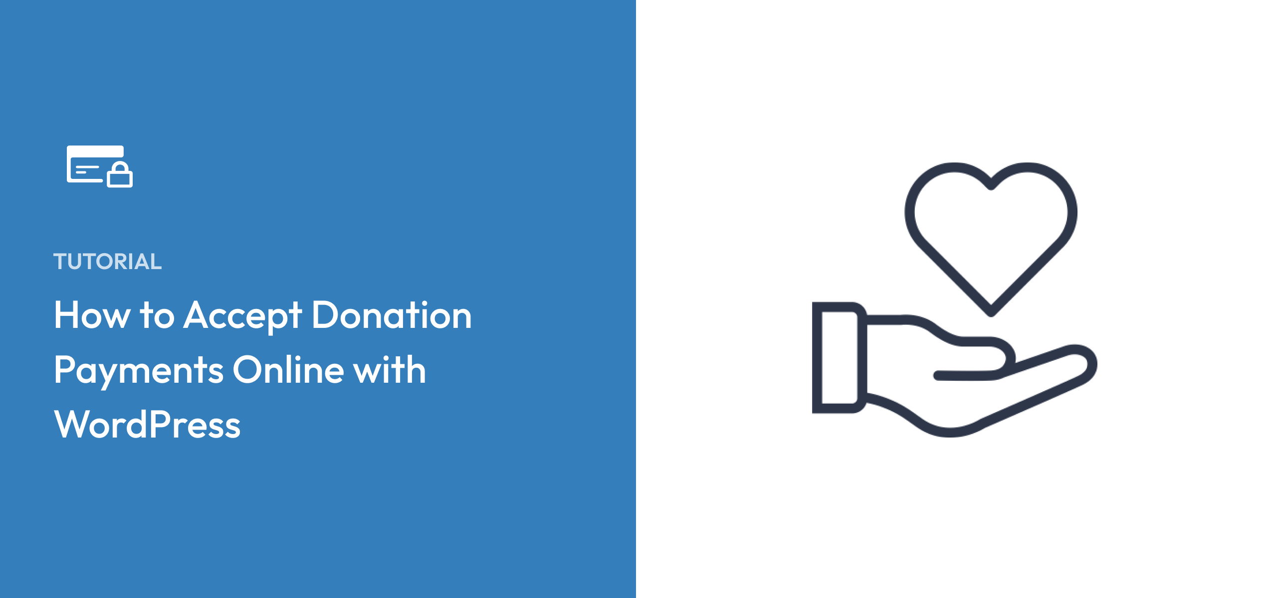 How to Accept Donation Payments Online with WordPress