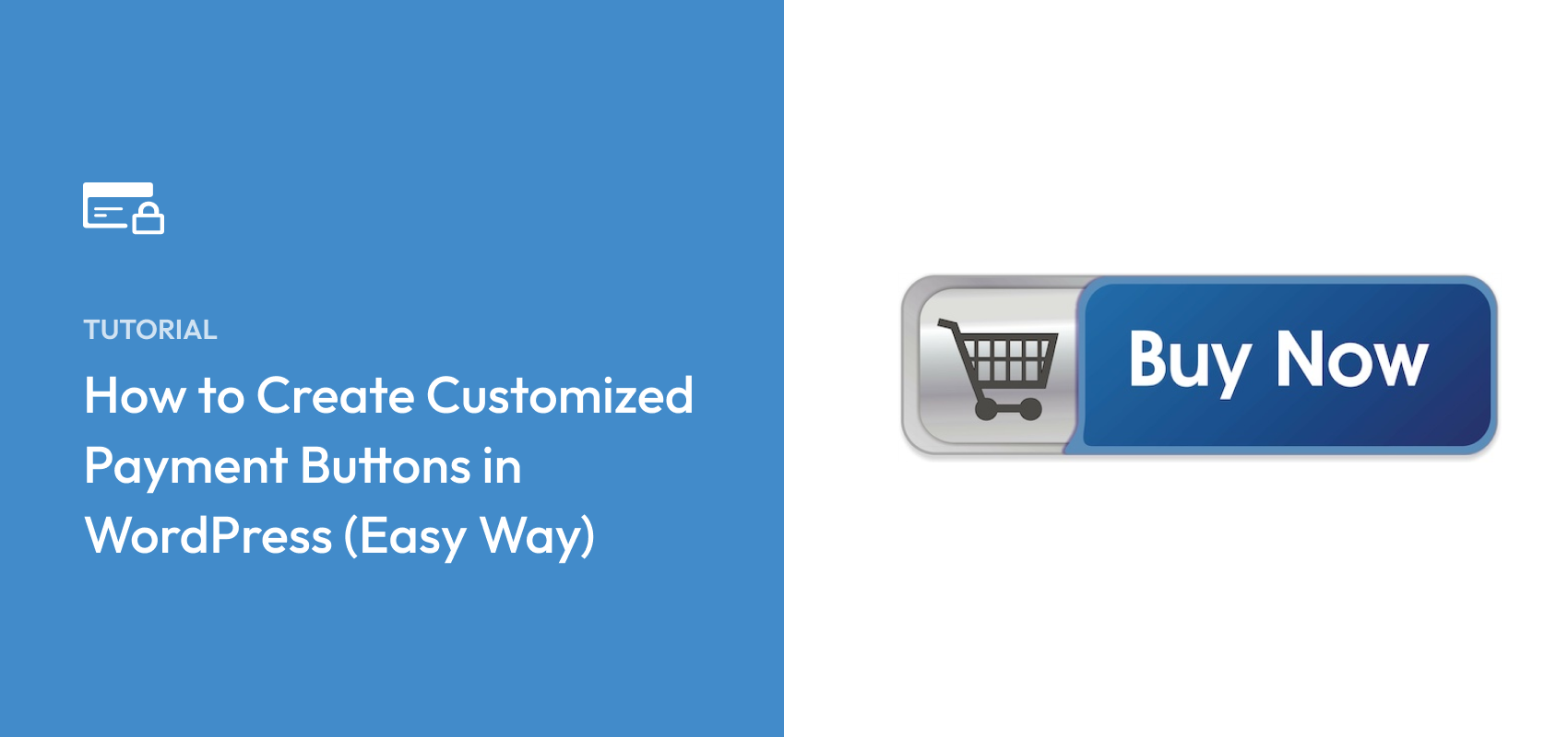 How to Create Customized Payment Buttons in WordPress